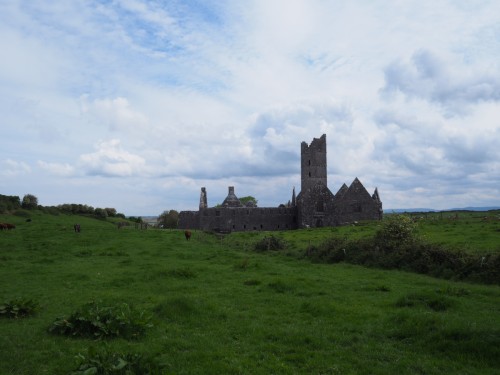 Moyne Abbey, da wo dich der Sack von einem Farmer nicht hinlassen will...