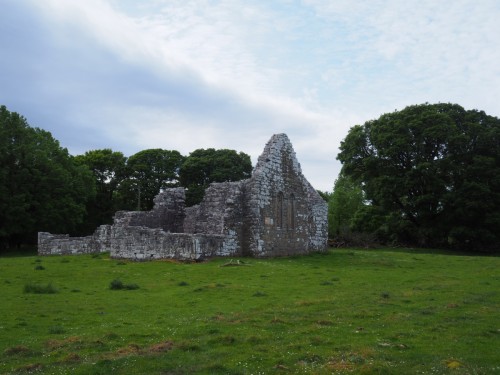 Inishmaine Abbey - hübsche Ruine, und nicht überlaufen